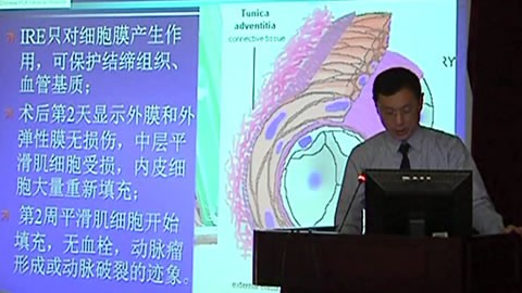 纳米刀消融动物实验研究结果