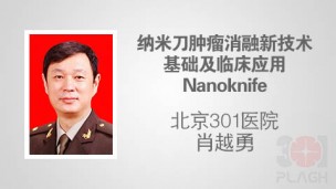 纳米刀肿瘤消融新技术基础及临床应用Nanoknife