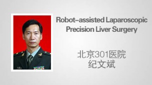 Robot-assisted Laparoscopic Precision Liver Surgery